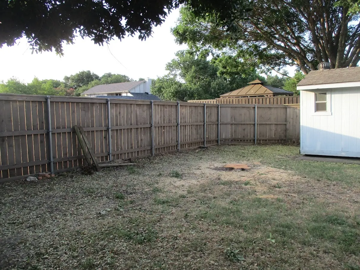 Cleared yard after professional tree removal in Dolgeville